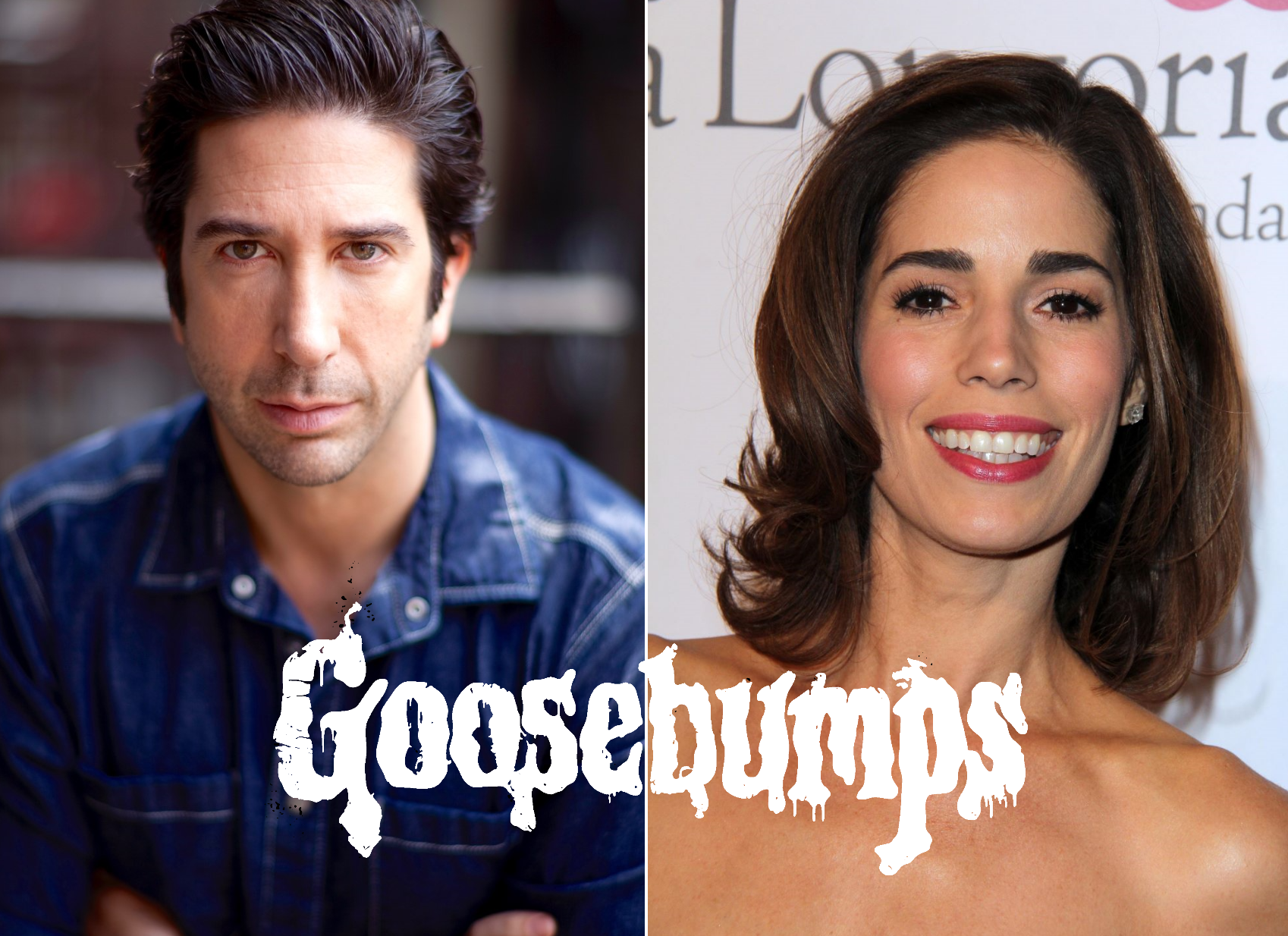 David Schwimmer and Ana Ortiz join season 2 of Goosebumps