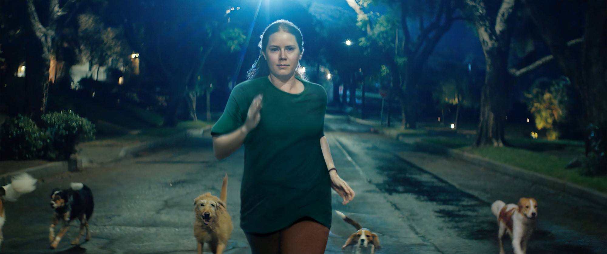 Amy Adams running with dogs in Nightbitch
